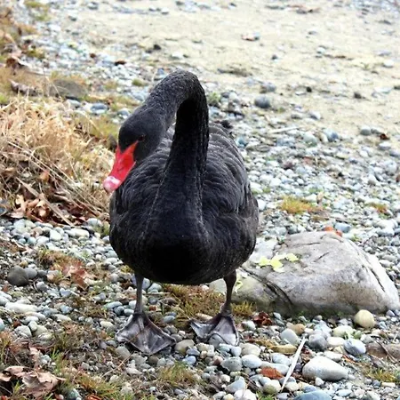 Haus Michel, 90 Qm * Uhldingen-Mühlhofen