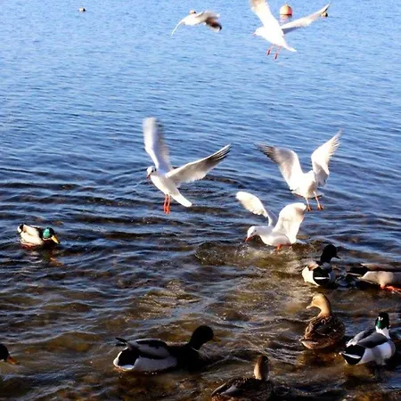 דירה Haus Michel, 90 Qm *