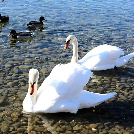 Haus Michel, 90 Qm דירה