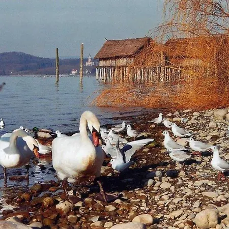 Haus Michel, 90 Qm Uhldingen-Mühlhofen