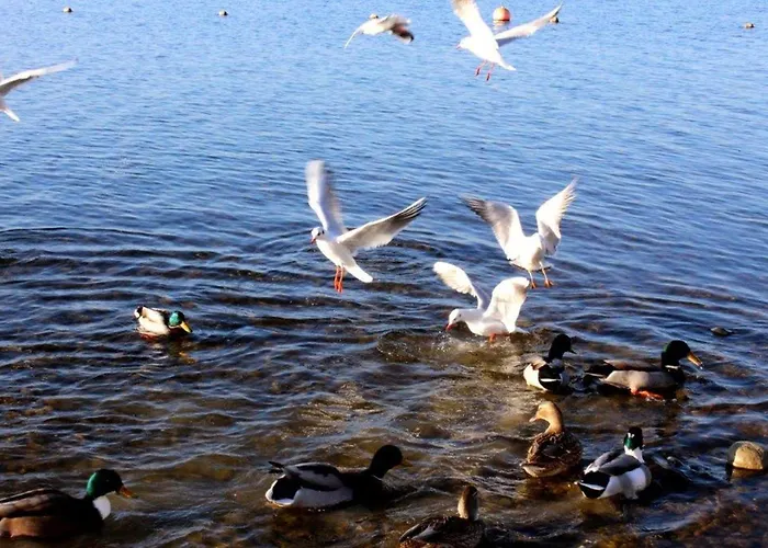 Apartmán Haus Michel, 90 Qm *