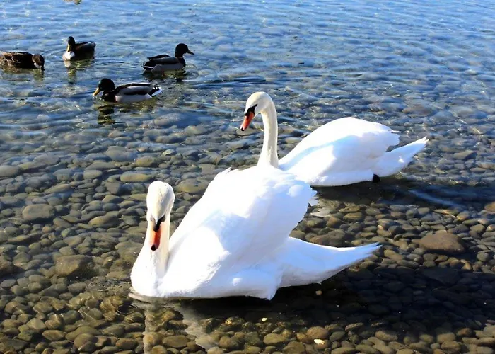 Haus Michel, 90 Qm Apartmán