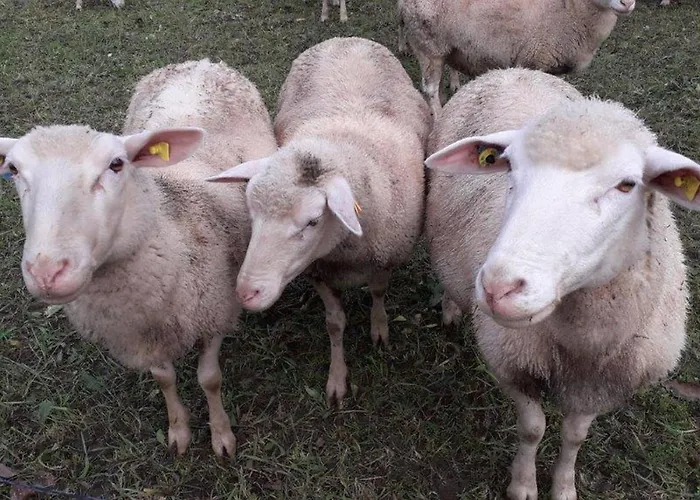 Apartmán Haus Michel, 90 Qm