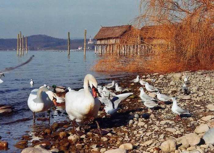 Haus Michel, 90 Qm Uhldingen-Mühlhofen